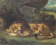 Eugene Delacroix Lion Devouring a Rabbit (mk05) oil painting